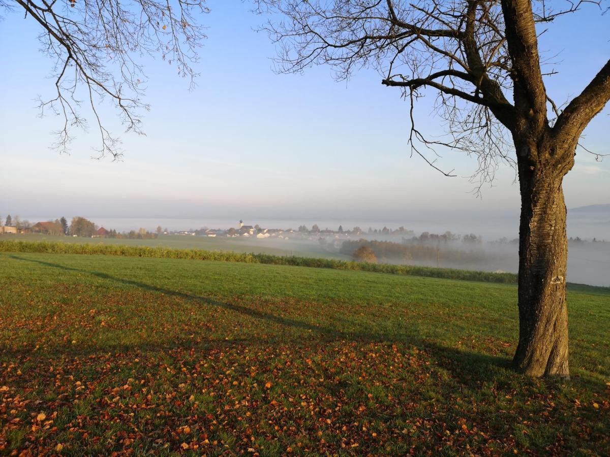 Landgasthof Zum Kirchenwirt Kellberg  Kültér fotó